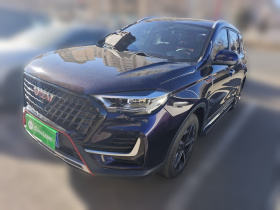 中国重汽VGV VGV U75PLUS 2021款 2.0TGDI 奇趣山地版 7座