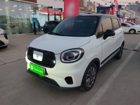 零跑汽车 零跑T03 2021款 400舒适版