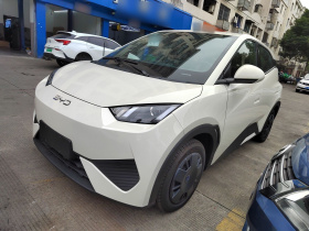 比亚迪 海鸥 2025款 智驾版 305km 活力版