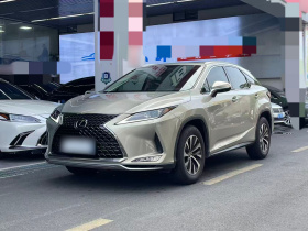 雷克萨斯RX 2020款 300 两驱舒适版 国VI