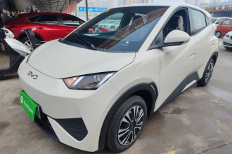 比亚迪 海鸥 2025款 智驾版 305km 活力版