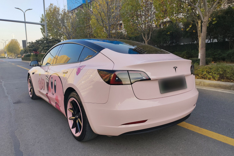 特斯拉 Model 3 2021款 标准续航后驱升级版 3D6车身外观6004