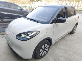 五菱汽车 五菱缤果 2024款 333km 悦享款