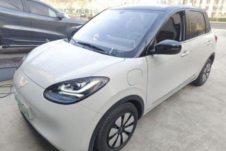 五菱汽车 五菱缤果 2024款 333km 悦享款