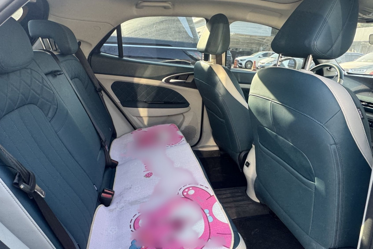 欧拉好猫 2021款 500km长续航 波塞冬版 三元锂局部细节9004