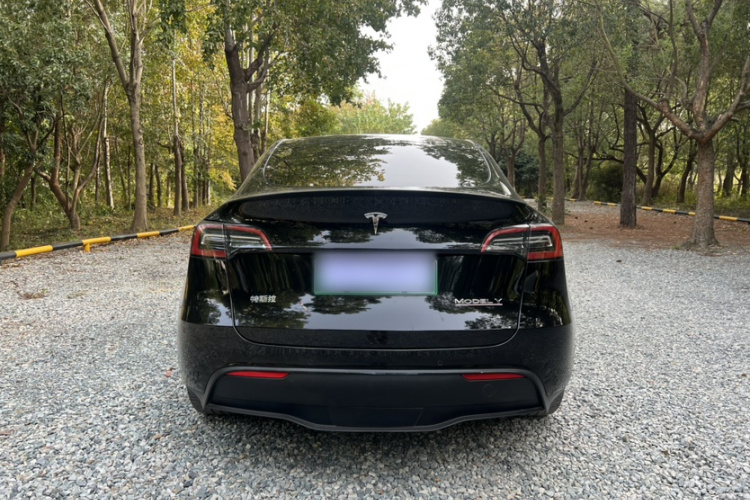 特斯拉 Model Y 2021款 Performance高性能全轮驱动版车身外观6004
