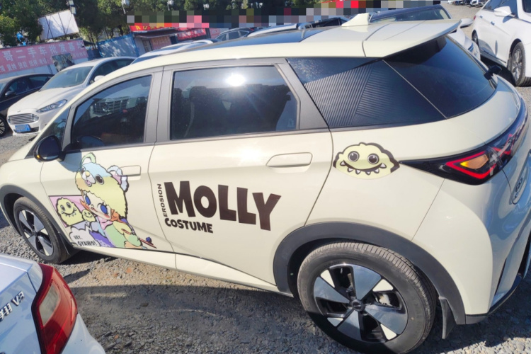 比亚迪 海豚 2023款 420km 时尚版车身外观6003