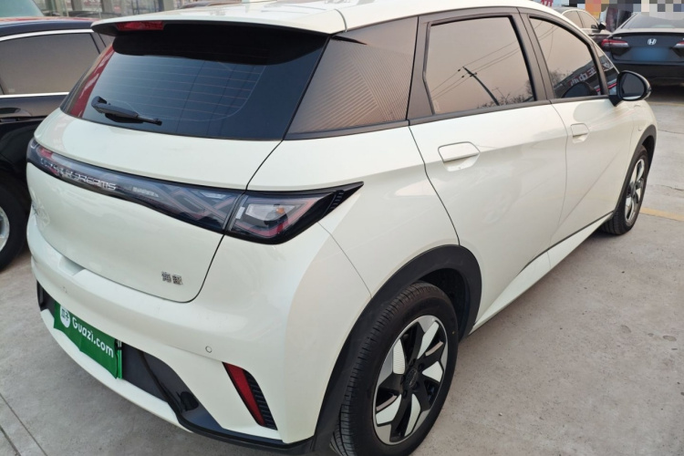 比亚迪 海豚 2025款 420km 自由版车身外观6005