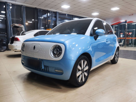 欧拉黑猫 2021款 351km 标准型