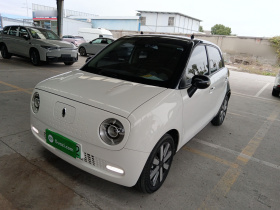 欧拉黑猫 2021款 351km 标准型