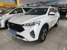 哈弗F7x 2019款 1.5T 两驱极智潮玩版