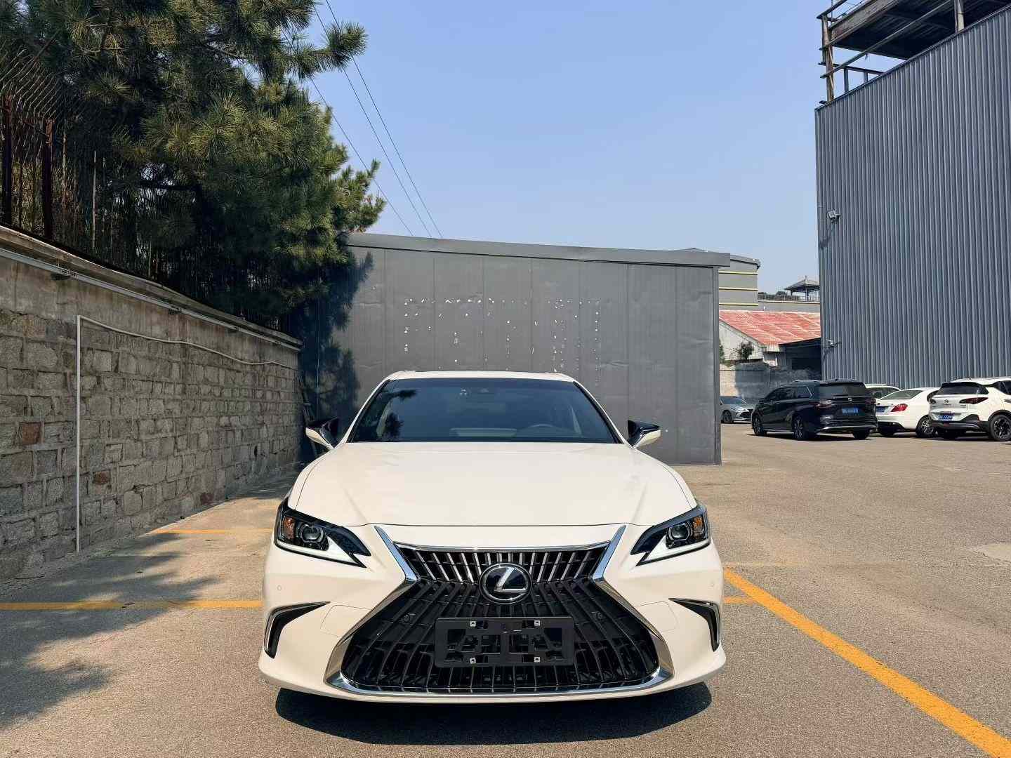 雷克萨斯ES 2023款 200 卓越版(1)