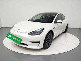 特斯拉 Model 3 2021款 标准续航后驱升级版 3D6