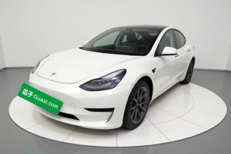 特斯拉 Model 3 2021款 标准续航后驱升级版 3D6