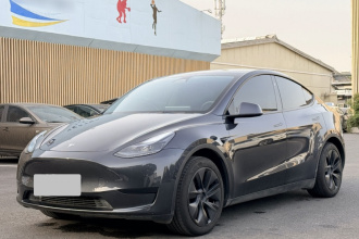 特斯拉 Model Y 2024款 后轮驱动版