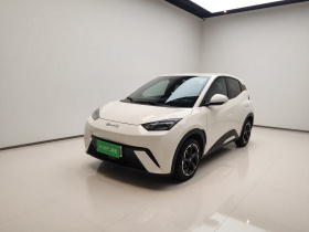 比亚迪 海鸥 2023款 自由版