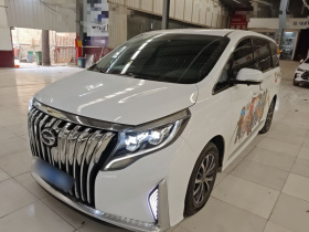 广汽传祺 传祺M8 2021款 领秀系列 390T 尊享版