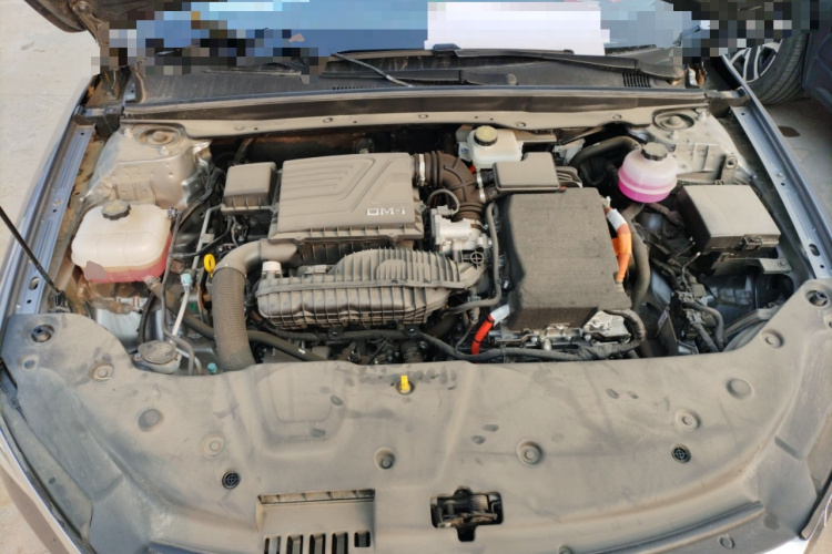 比亚迪 秦PLUS 2024款 荣耀版 DM-i 55KM领先型局部细节24