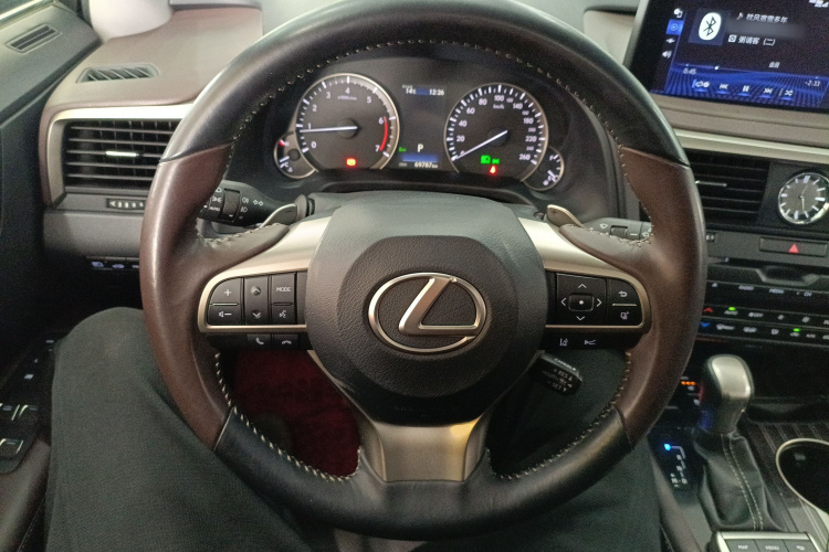 雷克萨斯RX 2021款 300 四驱特别版局部细节13