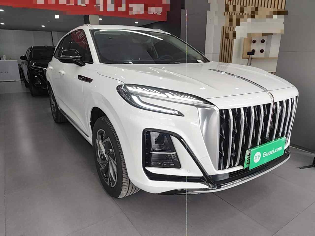 红旗HS3 PHEV 2025款 117km 劲为版(5)