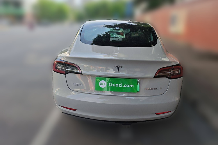 特斯拉 Model 3 2019款 标准续航后驱升级版车身外观6004