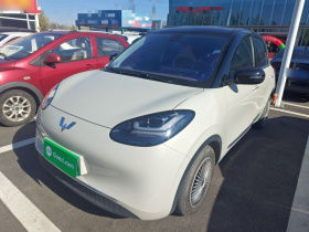 五菱汽车 五菱缤果 2023款 203km 舒享款