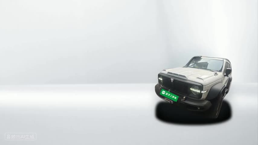 坦克300 2023款 2.0T 铁骑02检测视频1