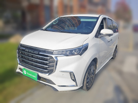 上汽大通MAXUS 大通G20 2020款 2.0T 汽油自动豪华行政版