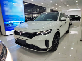 岚图汽车 岚图FREE 2024款 超长续航智驾版