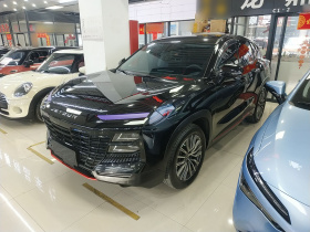 捷途大圣 2024款 1.5T DCT 龙腾版PRO