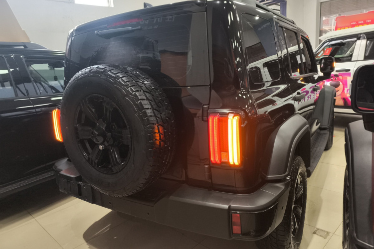 坦克300 2025款 2.4T 柴油版车身外观7