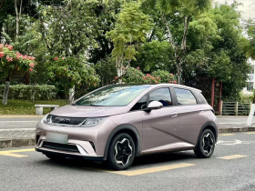 比亚迪 海豚 2021款 405km 时尚版