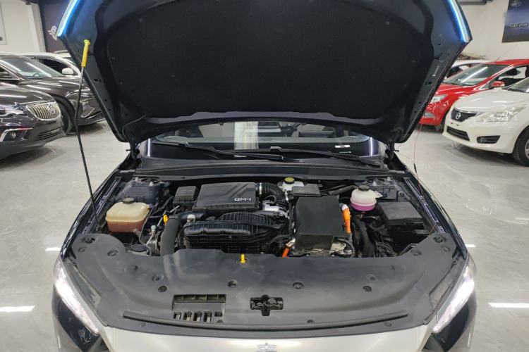 比亚迪 秦PLUS 2023款 冠军版 DM-i 55KM领先型机舱底盘24