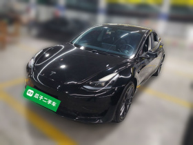 特斯拉 Model 3 2022款 后轮驱动版