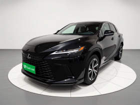 雷克萨斯RX 2025款 300 四驱骏享版