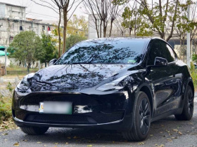 特斯拉 Model Y 2023款 后轮驱动版