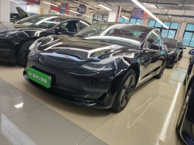 特斯拉 Model 3 2020款 改款 长续航后轮驱动版