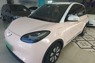 五菱汽车 五菱缤果 2024款 333km 悦享款