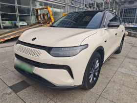 零跑汽车 零跑C11 2023款 增程 300智享版