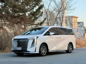 广汽传祺 传祺M8 2024款 大师系列 400T 至尊版