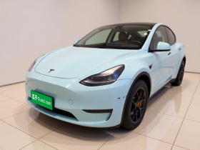 特斯拉 Model Y 2021款 标准续航后驱版