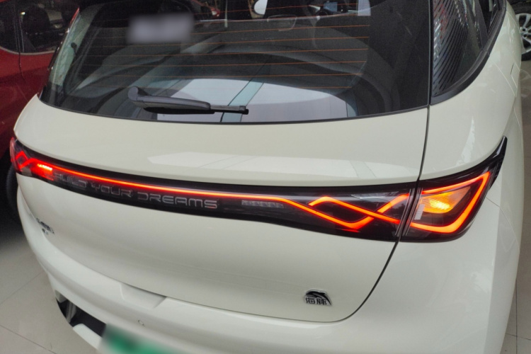 比亚迪 海豚 2023款 420km 时尚版车身外观6004