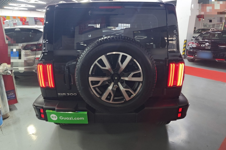 坦克300 2024款 2.0T 穿越者车身外观6004