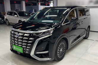 腾势D9 2024款 DM-i 980 四驱尊贵型