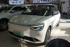 东风纳米 纳米01 2024款 330 Plus