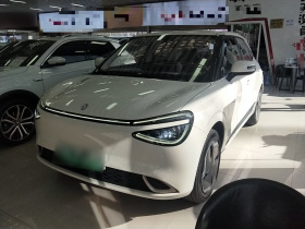 东风纳米 纳米01 2024款 330 Plus