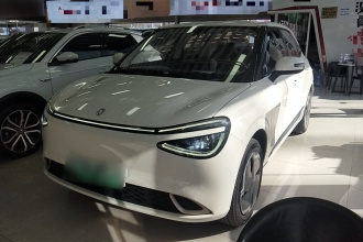 东风纳米 纳米01 2024款 330 Plus