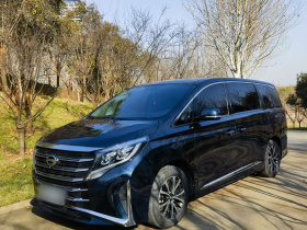 广汽传祺 传祺M8 2021款 领秀系列 390T 尊享版