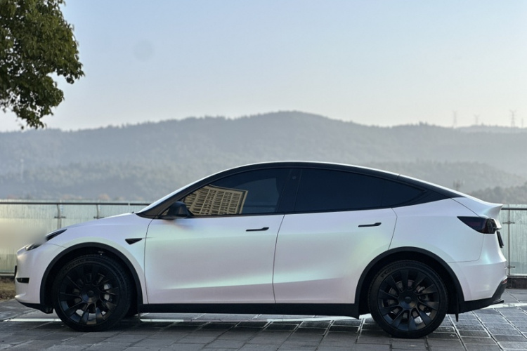 特斯拉 Model Y 2023款 长续航全轮驱动版车身外观6003