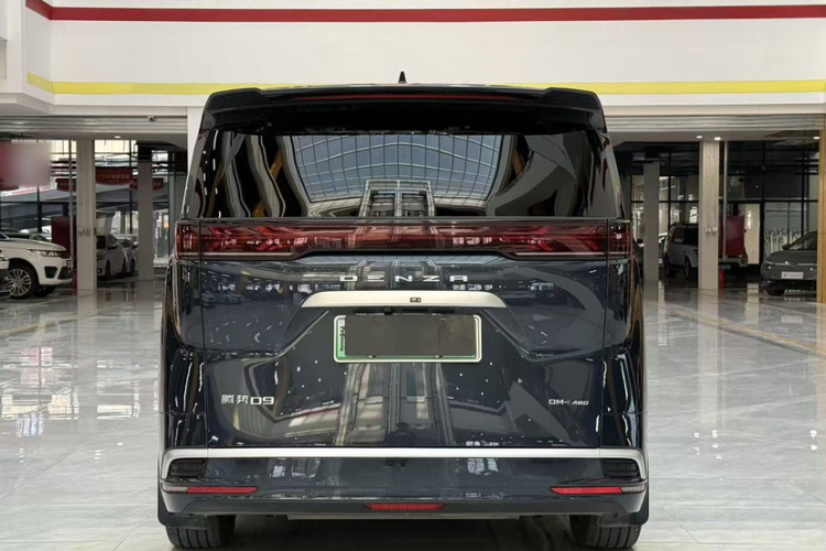 腾势D9 2024款 DM-i 980 四驱旗舰型车身外观6008